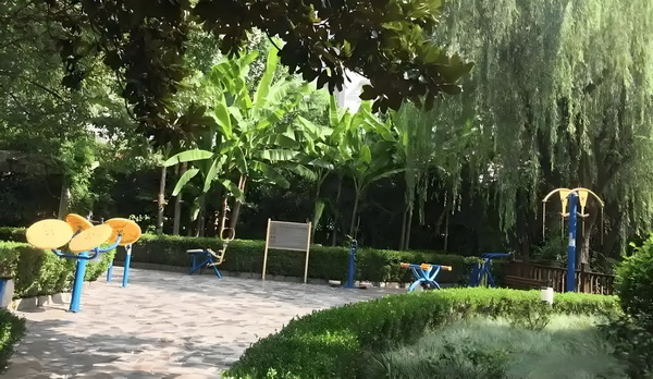 律师能落户深圳吗_董璇前夫高云翔给天下男人狠狠上了一课 董璇前夫高名消包括员防队